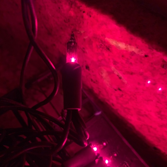 Sylvania Purple 50 Mini Lights - New - Picture 8 of 8